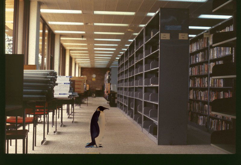 penguin library